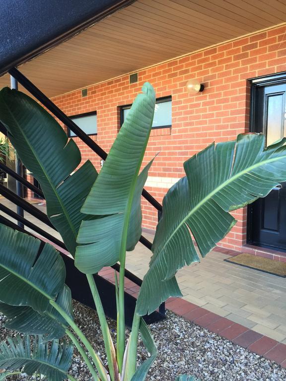 Caledonian Hotel Motel Echuca Quarto foto